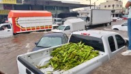 Tormenta provoca inundaciones y caos vial en Guadalajara