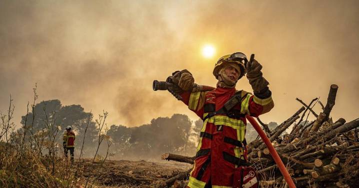 France's largest wildfire in decades leaves a trail of devastation