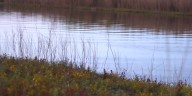 Iowa groups tell congressional delegation bill would ‘gut’ Clean Water Act