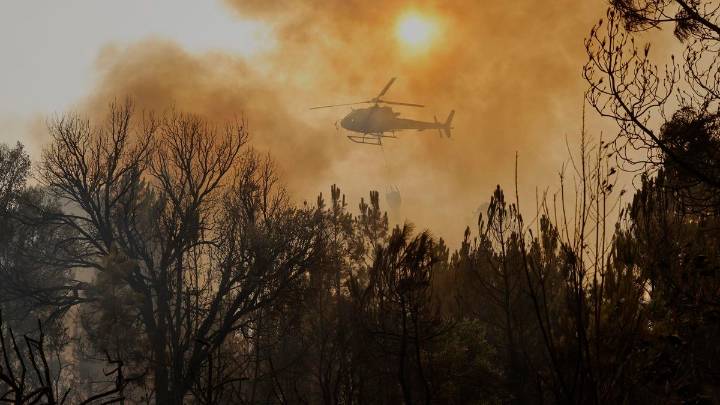Última hora de los incendios en España | Detenido un hombre como presunto autor por imprudencia de un incendio en Zamora