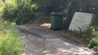 Denuncian el lamentable estado de la carretera de Cebia (Cangas de Onís)