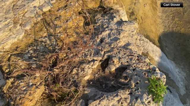 VIDEO: Floods in Texas reveal rare ancient dino footprints, experts say