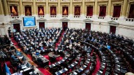En vivo:la oposición rechazó el veto a la Emergencia en Discapacidad y ahora deberá tratarlo el Senado