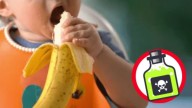 Bebé de 9 meses muere por envenenamiento y su madre es arrestada; le dio de comer plátano