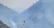 Human-caused wildfires uptick in Utah with costs about $29M so far this year