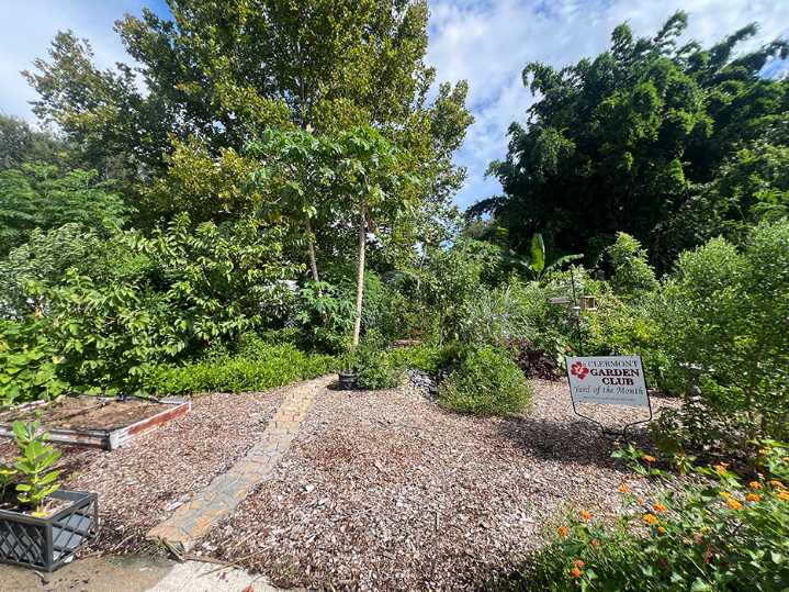 The Yard Of The Month Chosen By The Clermont Garden Club 