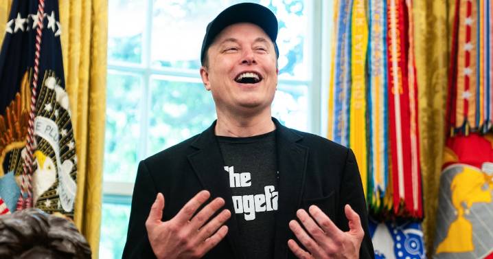 Elon Musk Defends Donald Trump’s Biggest Nemesis: Windmills