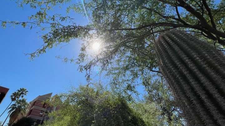 US heat wave smothers Pacific Northwest, poses extreme risk in California and Arizona