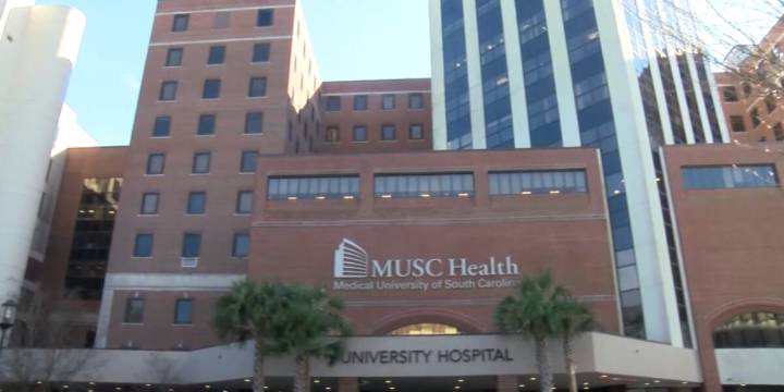 MUSC establishes venture capital funding for future of medicine, businesses
