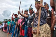 El modelo latinoamericano de Clínicas Jurídicas Ambientales, por Andrea Domínguez Noriega