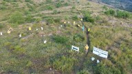 Realiza Salomón Jara megatequio de reforestación en Monte Albán