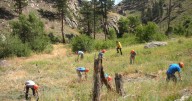 Spruce Gulch land gifted to CU Boulder for future studies