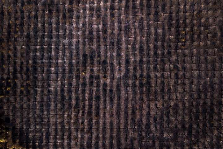La racha de incendios de agosto fulmina las estadísticas sobre hectáreas quemadas en España