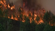 La ola de incendios en Portugal suma una nueva víctima: un voluntario de 75 años muere mientras intentaba luchar contra el fuego