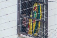 Tribunal de Bolivia anula proceso penal contra Áñez y ordena juicio de responsabilidades
