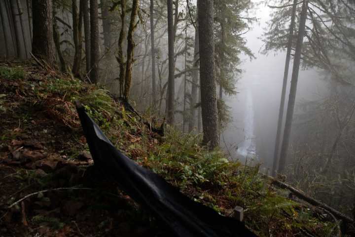 Proposal denied for dam near Silver Falls State Park