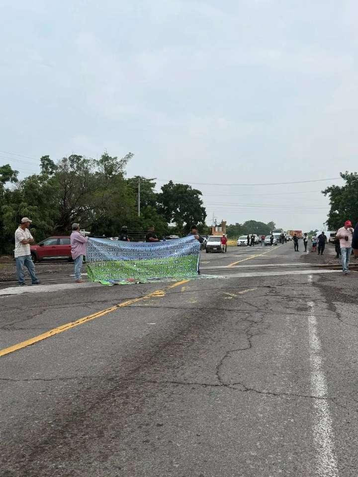 Productores de arroz reclaman pagos atrasados a Segalmex