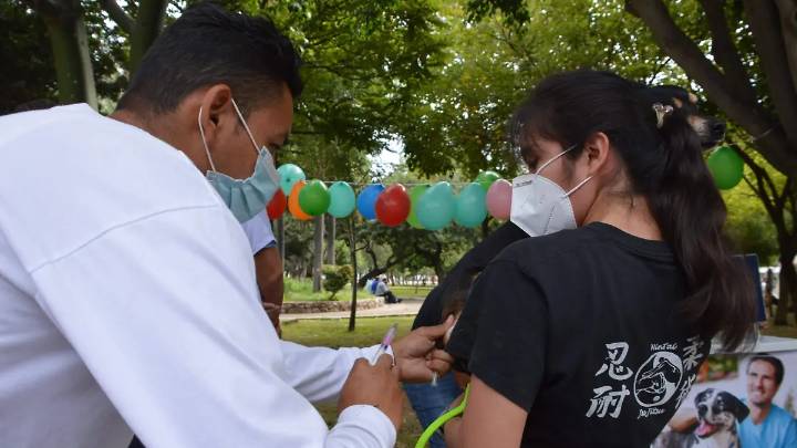 Arranca jornada de vacunación antirrábica en San Miguel de Allende