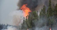 New Brunswick reporting 30 active wildfires