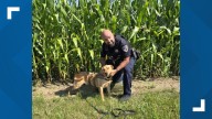 Police K-9 in northeastern Indiana helps safely locate missing 2
