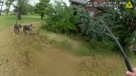 Oklahoma County deputy confronted by aggressive dogs, responding to family trapped in Edmond home