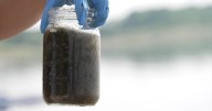 Health advisories issued for Lake Lowell and Lake Cascade