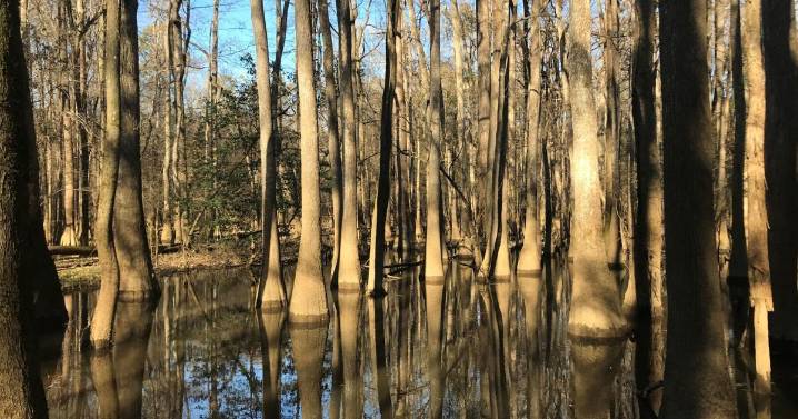 SC land may hold gas reserves. Could they be extracted?