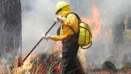 Michoacán busca legislar para evitar incendios forestales, aunque no específicamente para proteger bosques