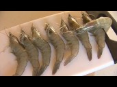 FDA warns public not to eat possibly radioactive shrimp sold at Walmart