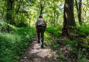 Pa. Game Commission opens rare new public lands for hunters, hikers in Allegheny County