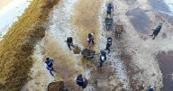 Gobierno de Quintana Roo intensifica acciones contra el sargazo