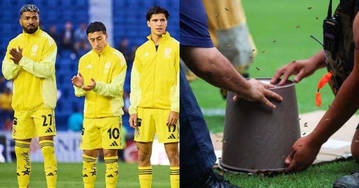 Abejas y tormenta eléctrica retrasan partidos del América