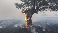 Castilla y León amanece con 27 incendios activos, con 10 de ellos aún en el nivel 2