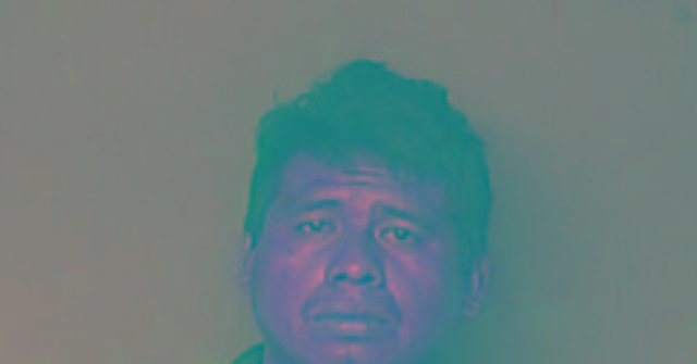 Illegal Accused of Killing 59-Yr-Old Louisiana Man in Drunk Driving Crash