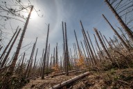 41,000 hours of cleanup: Northern Michigan ice storm recovery by the numbers
