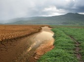 76% de superficie terrestre está degradada:estudio