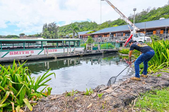 Wailua Marina back to normal after spill