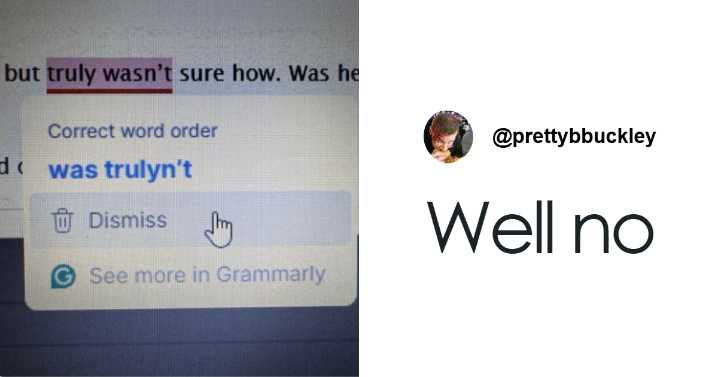 This Online Group Exists To Shame Overconfident Know-It-Alls Who Incorrectly Correct People (New Pics)