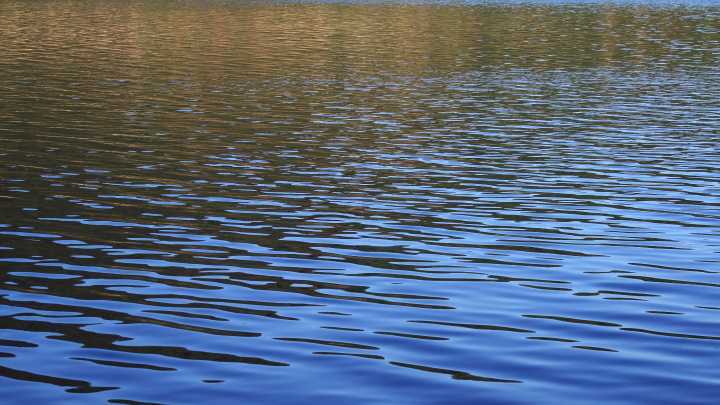 Mother drives family into lake; Son and husband found dead separately