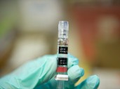 Second warning issued over hepatitis A on Sunshine Coast