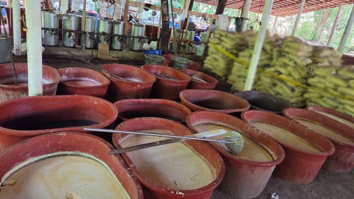 Aseguran 2.5 toneladas de metanfetamina en Chiapas