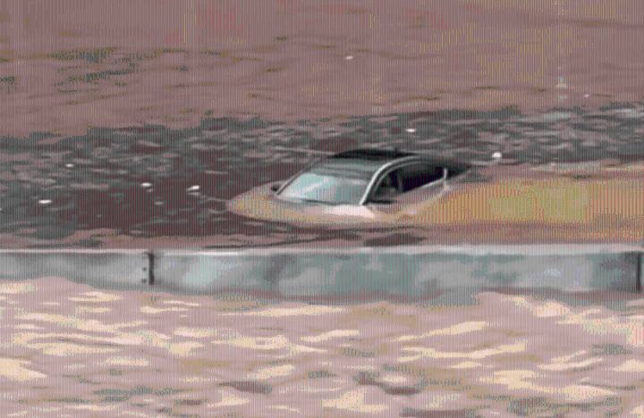 Parents and child killed when tree falls on car as heavy rain and flooding hit Tennessee