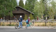 Rabies exposure from bat-infested cabins at Grand Teton Park