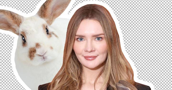 Anna Delvey Says She Didn’t Dump Those Bunnies in Brooklyn