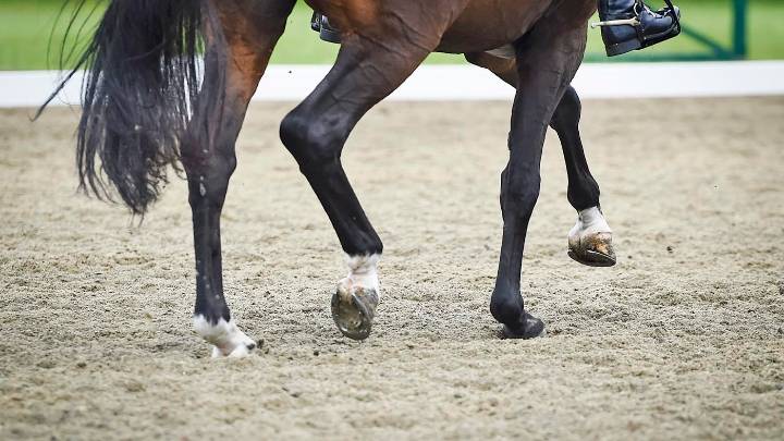 Pammy Hutton asks why are everyday dressage riders staying at home?