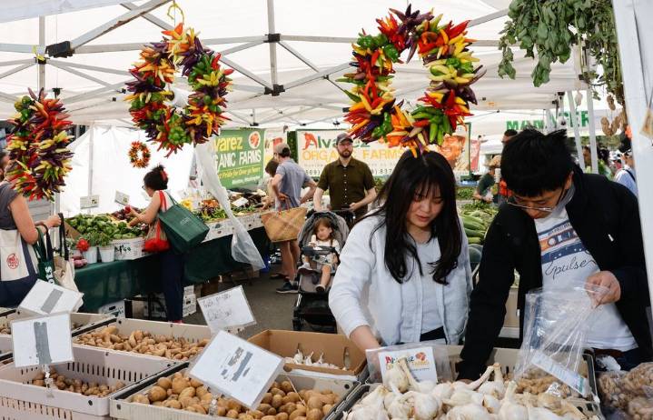 UW study shows how a Seattle program offering cash for produce is faring