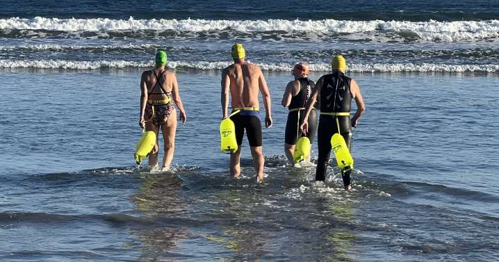 Open water swimmers along the Maine coast are 'shark aware' but have little fear