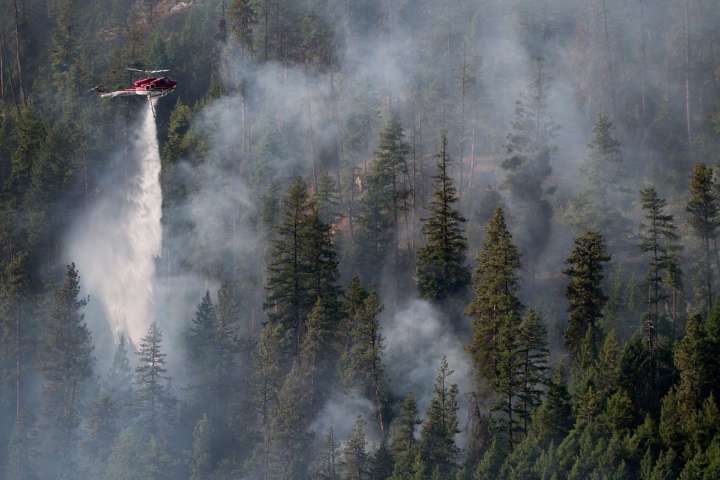 B.C. wildfires jump, campfire bans take effect in Cariboo and Kamloops regions