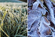 Old Farmer’s Almanac Predicts First Frost For Capital Region