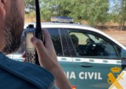 Avispas asiáticas pican a un alérgico en El Payo